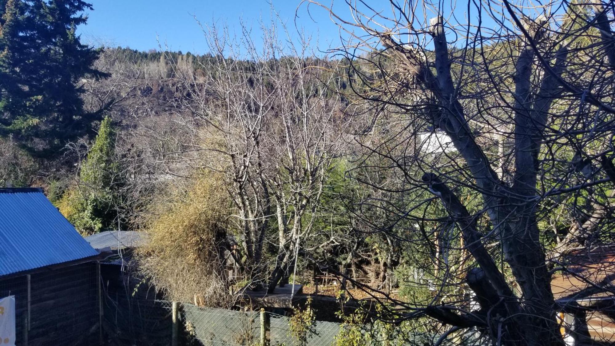 San Martín de los Andes Villegas Centrico - Andarlibre מראה חיצוני תמונה
